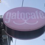gatos cafe