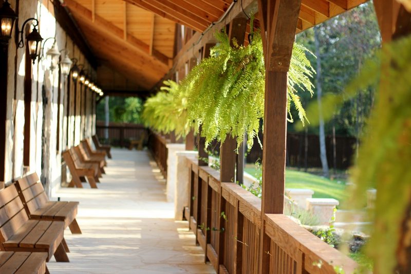plantas ambiente sem sol