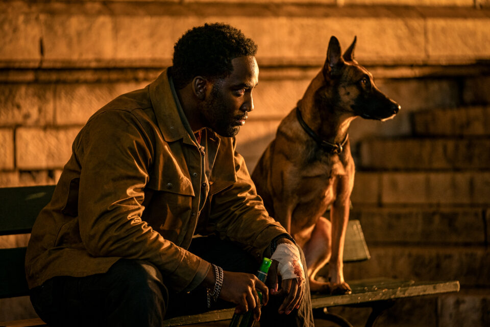 Divulgação/Paris Filmes