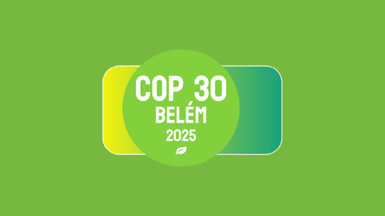 cop 30