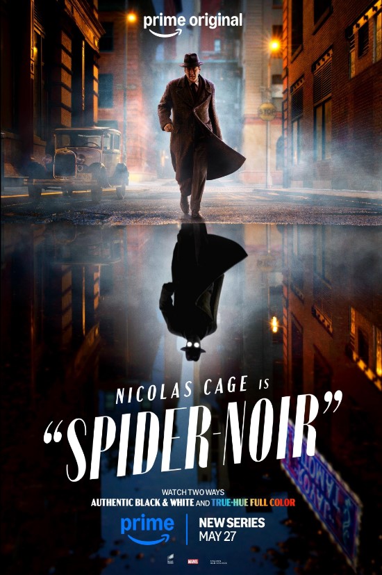 pôster de Spider-Noir