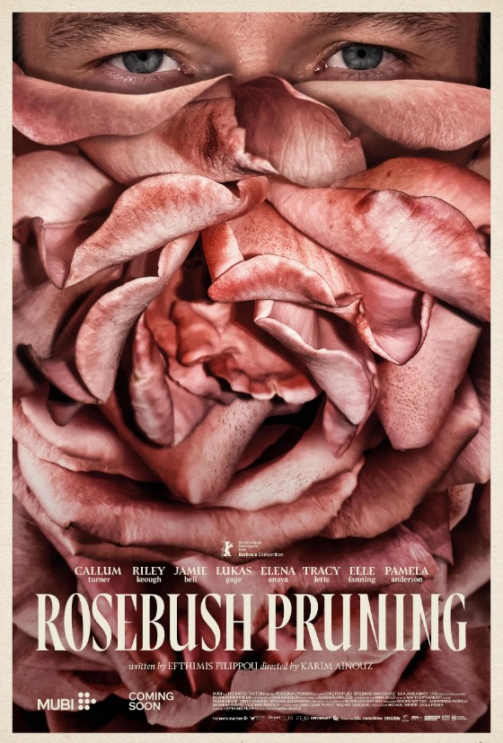 pôster de Rosebush Pruning